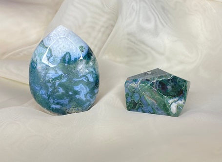 Sammalakaatti freeform