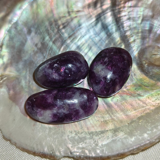 Mini lepidoliitti rumpuhiottu