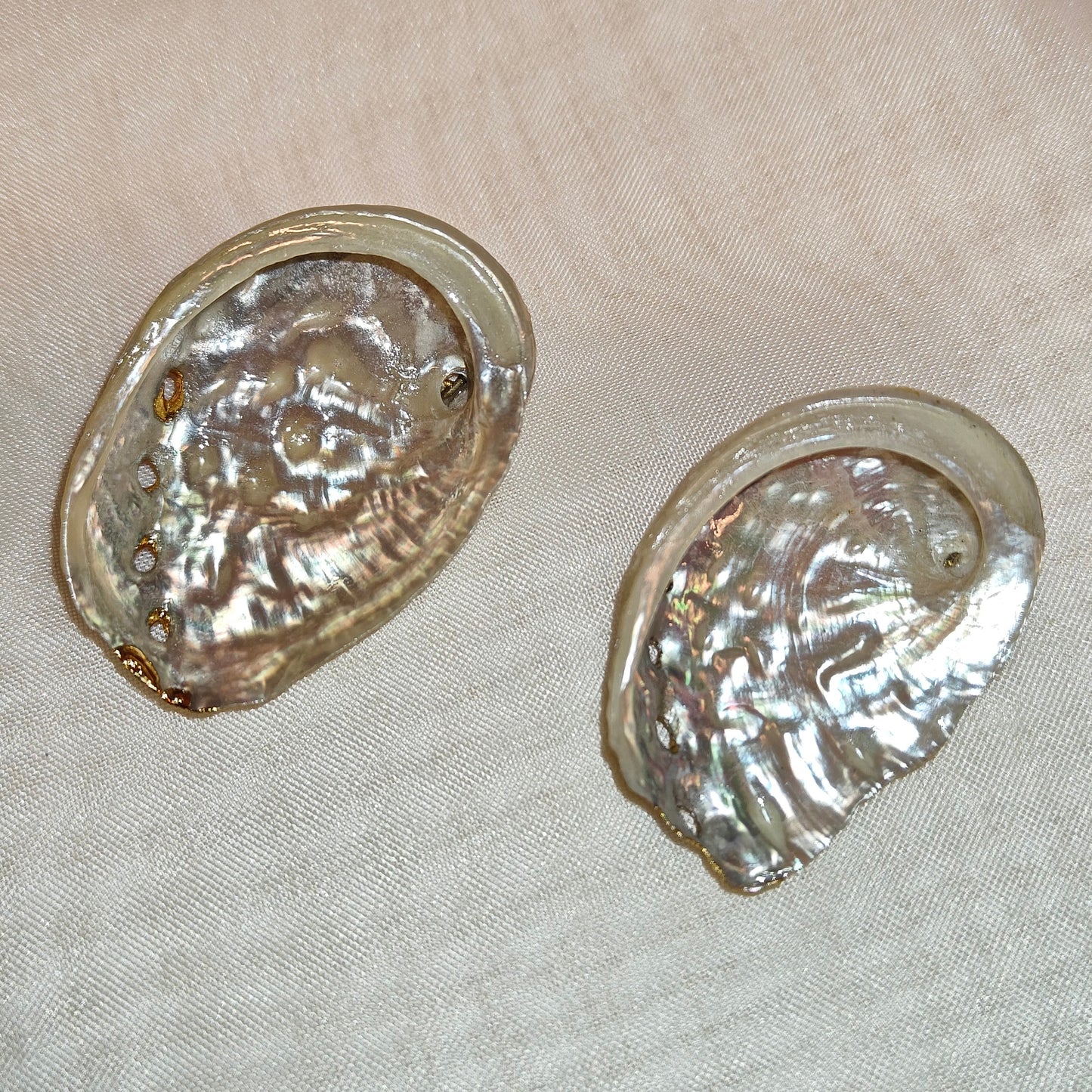 Abalone riipus