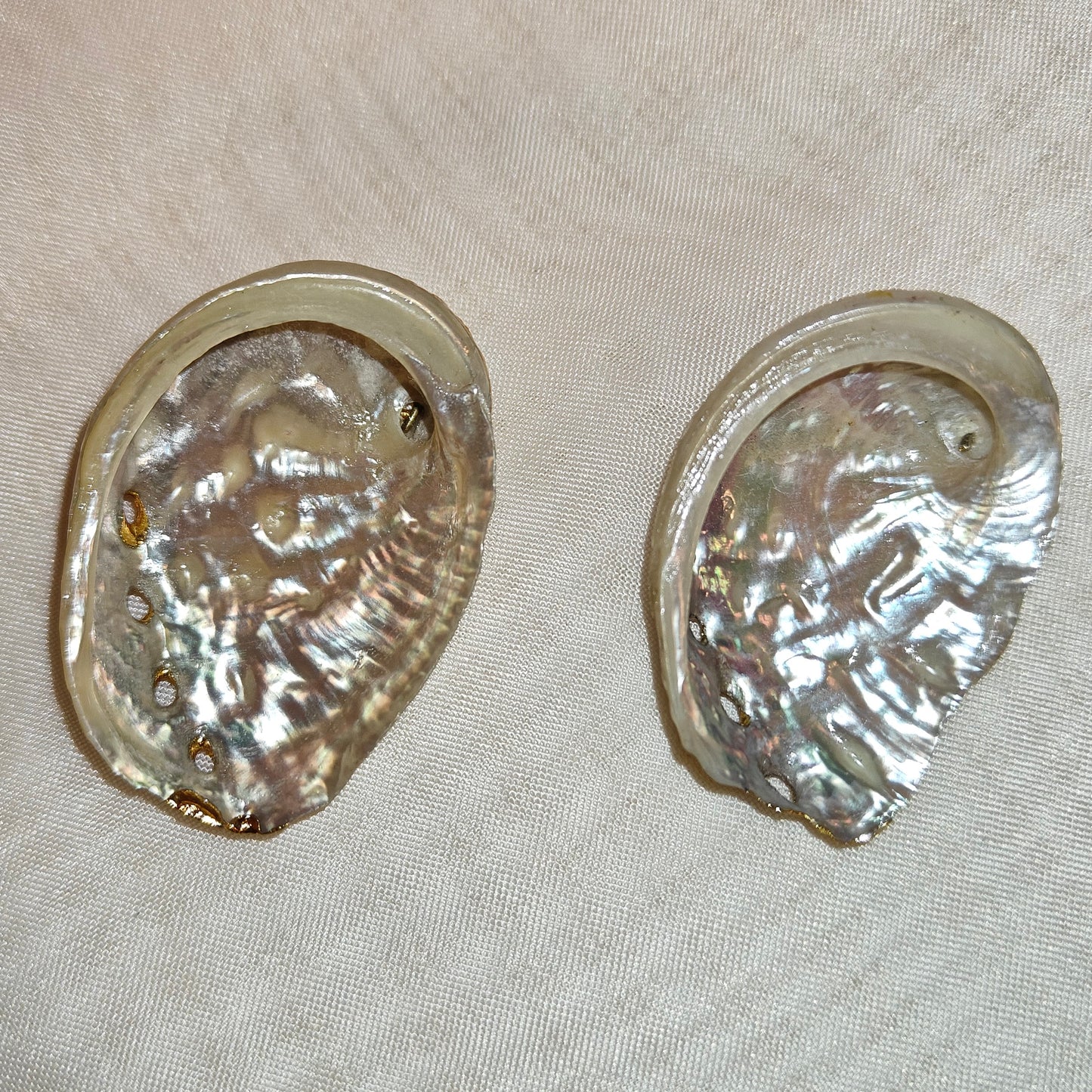 Abalone riipus