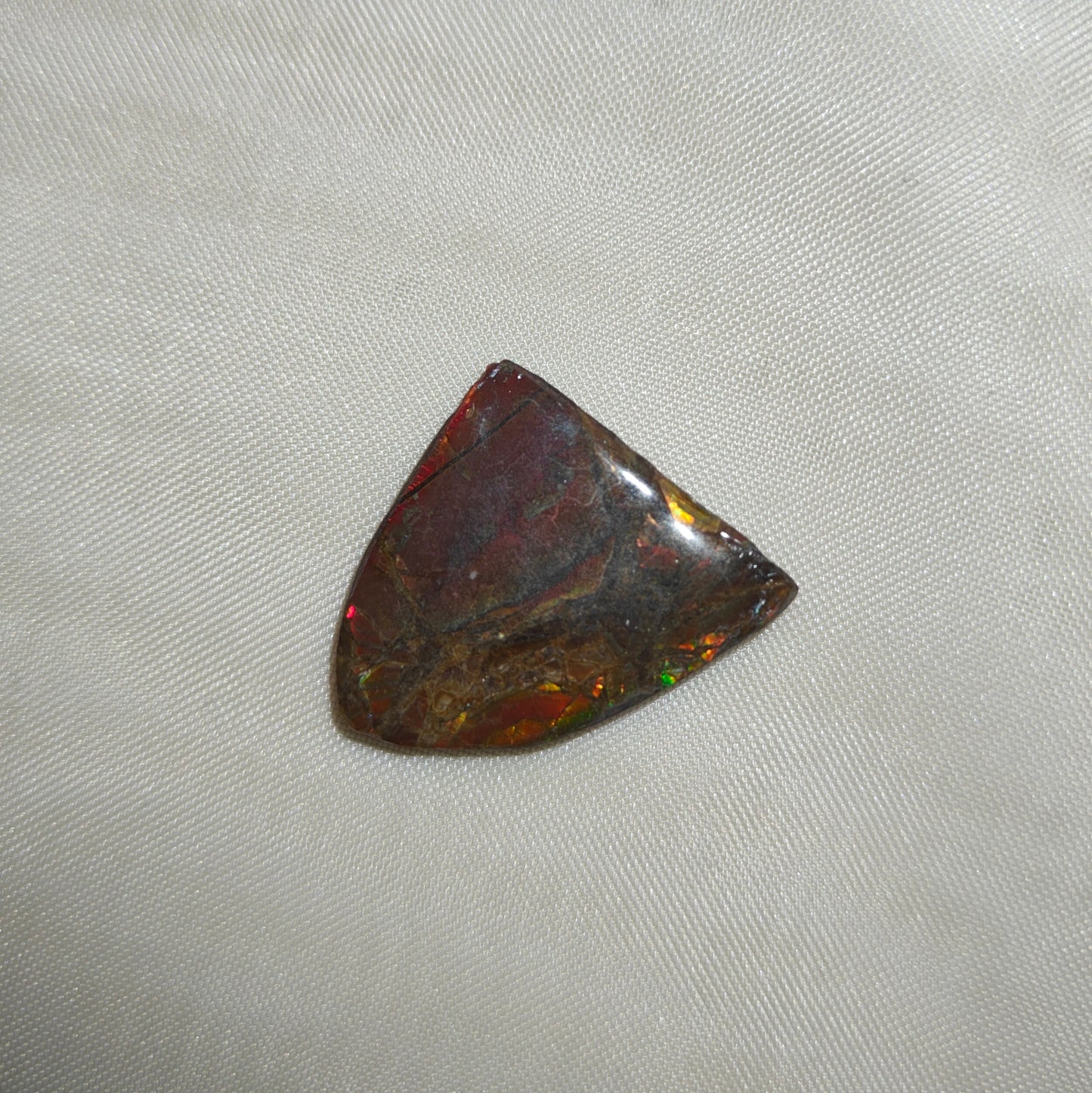 Ammoliitti kapussi