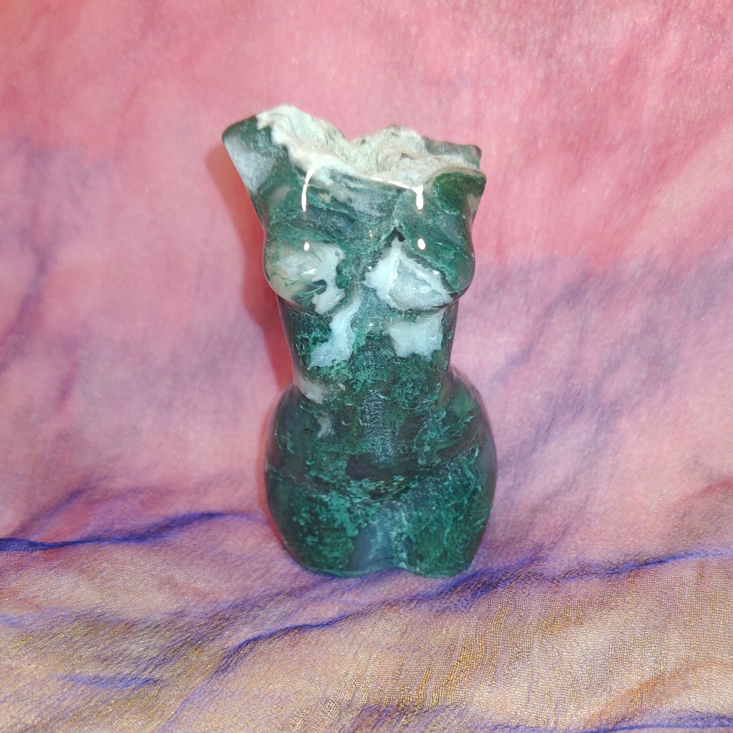 Sammalakaatti beibe